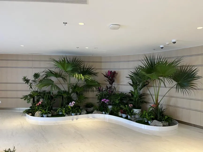 惊！杭州湾绿植租赁哪家好的秘密曝光